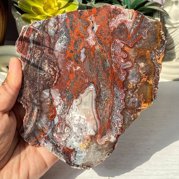 Natural Mexican Crazy Lace Agate Slab - Picture 4 of 10